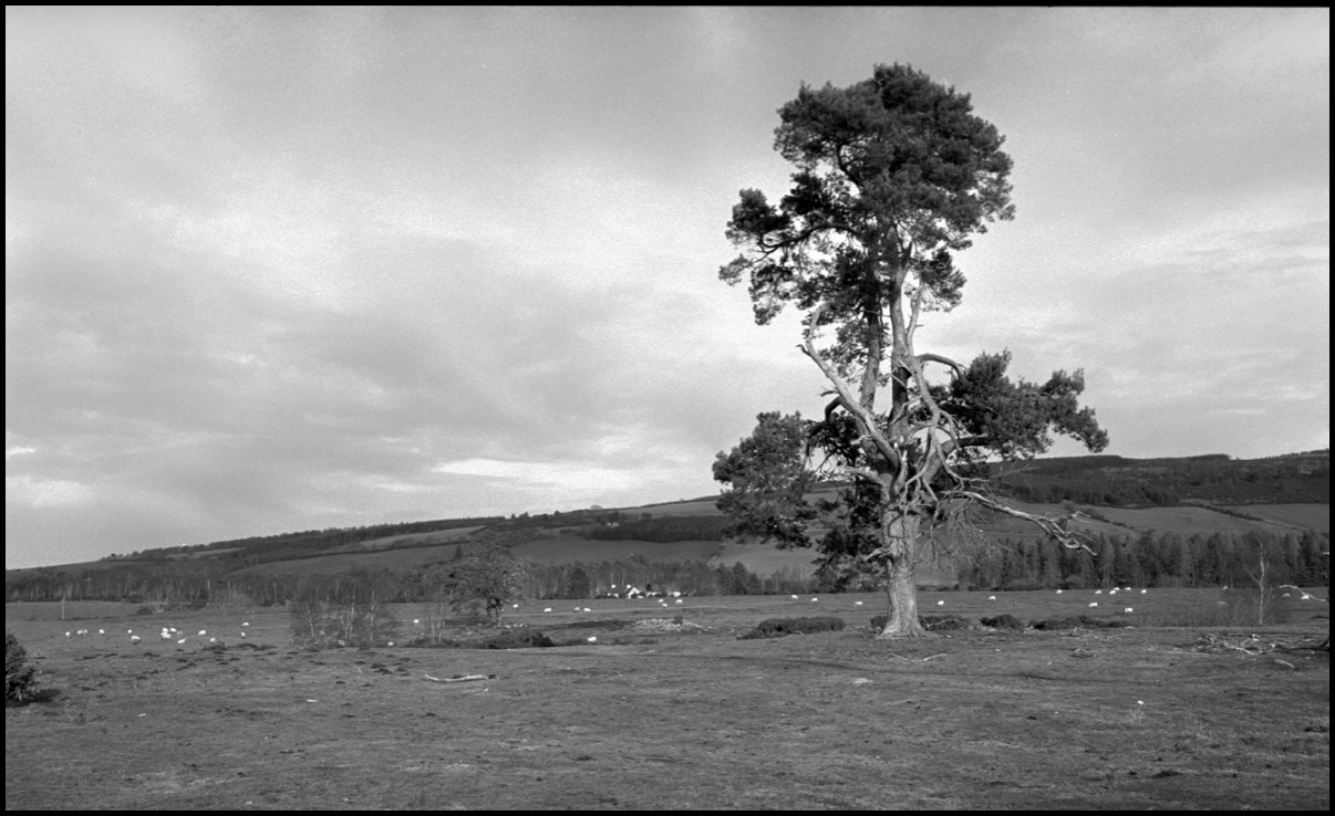 Stacks Image 16