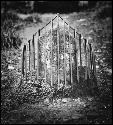 Stacks Image 16