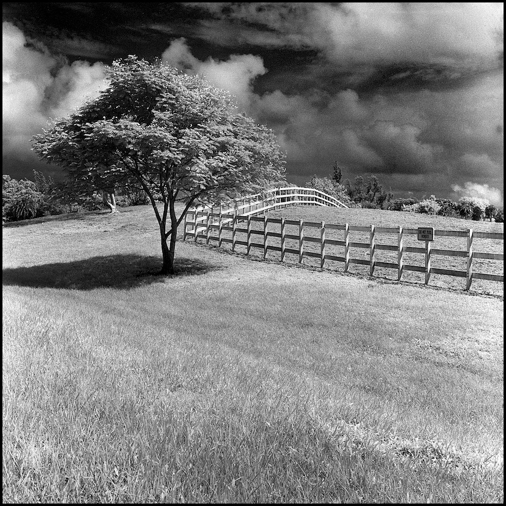 Stacks Image 17