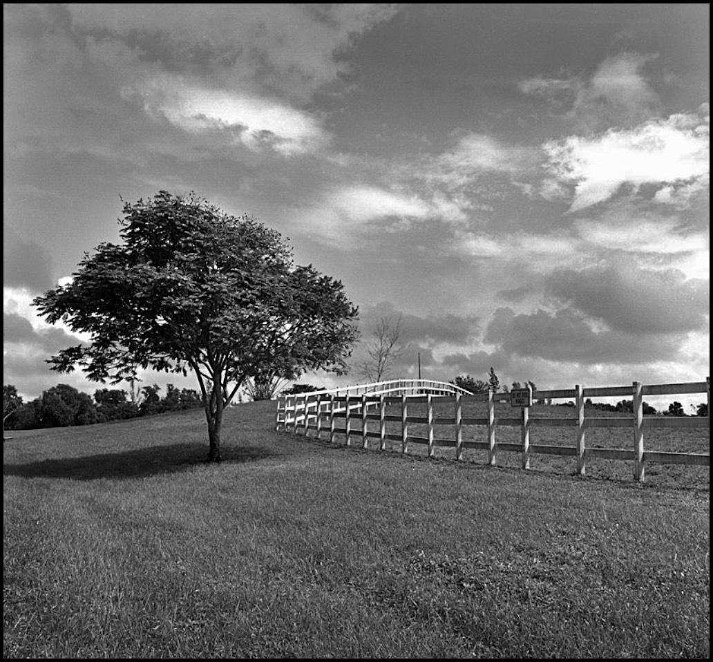 Stacks Image 13