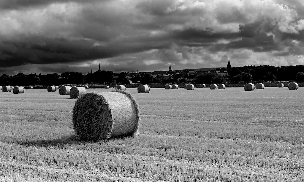 Stacks Image 9
