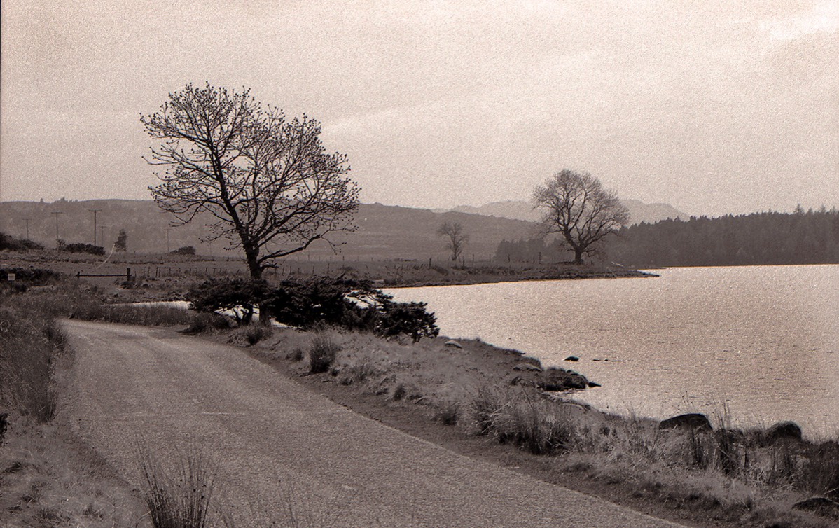 Stacks Image 17